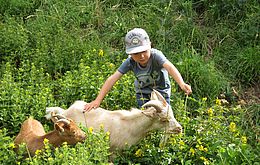 Umweltlotterie: Kids und Ziegen gemeinsam fürs Schloss