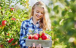 Umweltlotterie: Neue Streuobstwiese
