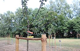 Umweltlotterie: Zukunft Streuobstwiese Umweltlotterie: Zukunft Streuobstwiese