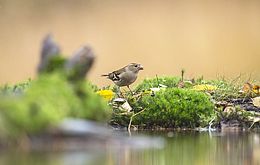 Umweltlotterie: Außerschulischer Lernort "Umwelt und Landwirtschaft"