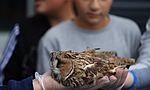 Umweltlotterie: Vogelzug und Vogelschutz an der Burgwaldschule