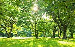 Umweltlotterie: Erholungsort Waldgarten