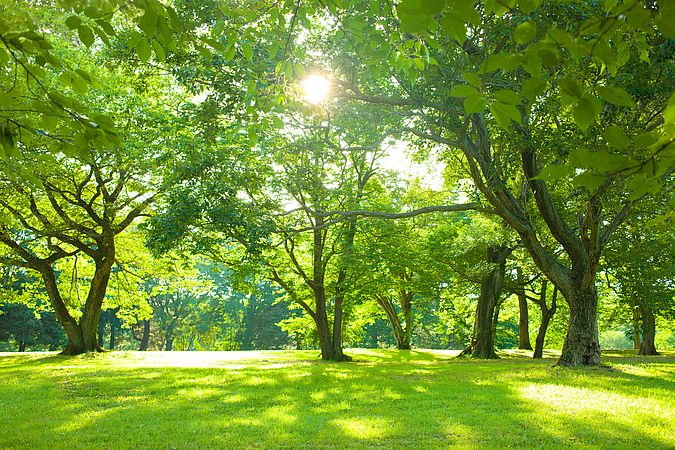 Umweltlotterie: Erholungsort Waldgarten