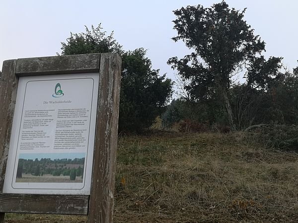 Umweltlotterie: Wacholderheide Eschenburg Eiershausen