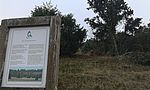 Umweltlotterie: Wacholderheide Eschenburg Eiershausen