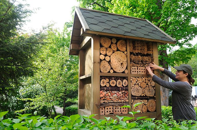 Umweltlotterie: Aufstellung von Insektenhotels