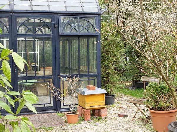 Umweltlotterie: Kinder und Jugendimkerei im ChamissoGarten