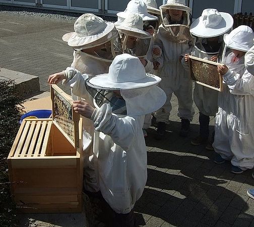 Umweltlotterie: Kinder und Jugendimkerei Mittelhessen