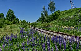 Umweltlotterie: Ahnataler Wildblumengarten am Gleis