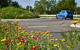 Umweltlotterie GENAU: Löhnberg blüht auf – Verkehrsinseln werden zu Lebensinseln