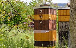 Umweltlotterie: Bienenhaus im Kulturgarten Hochheim – Nachhaltigkeit erleben und lernen