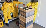 Umweltlotterie: Blaulichtbienen THW-Jugend-Schwalmstadt