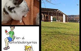 Umweltlotterie: Tier und Naturkindergarten