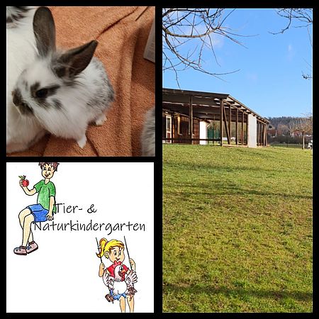 Umweltlotterie: Tier und Naturkindergarten
