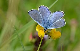 Umweltlotterie: Infotafeln für das Nationales Naturerbe Hute am Seilerberg