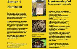 Umweltlotterie: Insektenlehrpfad-Panoramaweg Lindenfels