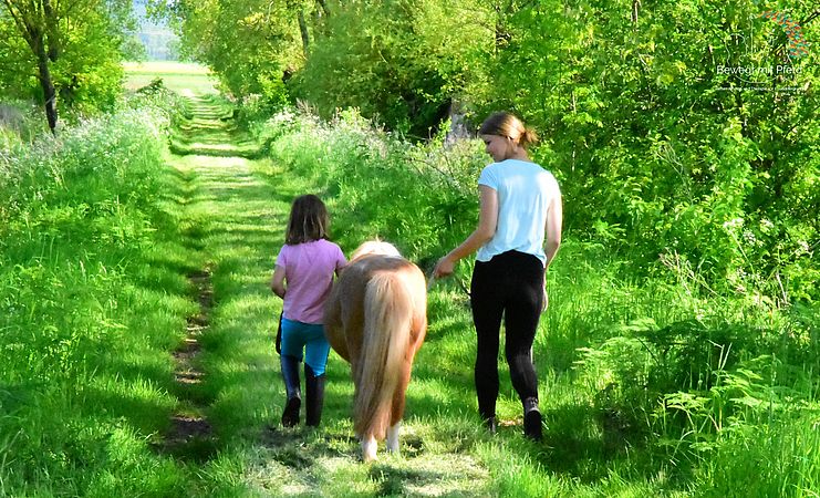 Umweltlotterie: "Wetterfrösche" - ein Angebot für alle begeisterten Kinder die mit Pferden die Natur erkunden