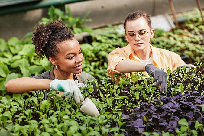 Umweltlotterie: Interkultureller Gemeinschaftsgarten