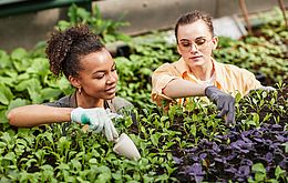 Umweltlotterie: Interkultureller Gemeinschaftsgarten Umweltlotterie: Interkultureller Gemeinschaftsgarten