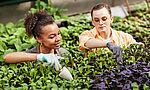Umweltlotterie: Interkultureller Gemeinschaftsgarten