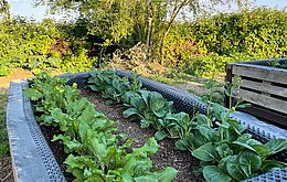Umweltlotterie: Gemeinschaftsgarten Bommersheim Umweltlotterie: Gemeinschaftsgarten Bommersheim
