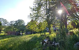 Umweltlotterie: Fleckenbühler Mühle - Entwicklung eines biodiversen Naturraumes am Roten Wasser