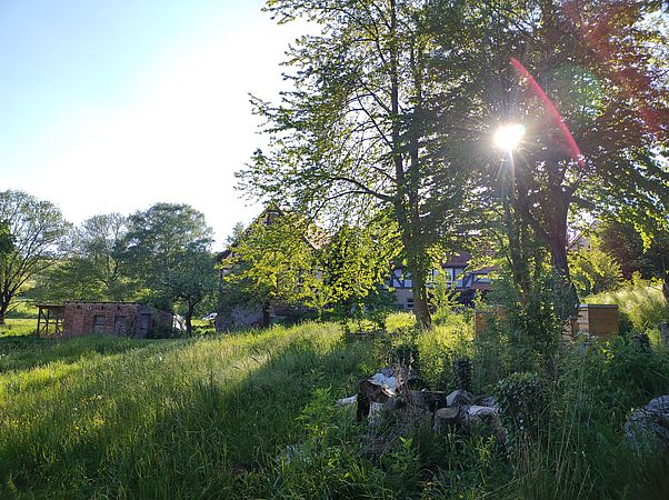 Umweltlotterie: Fleckenbühler Mühle - Entwicklung eines biodiversen Naturraumes am Roten Wasser