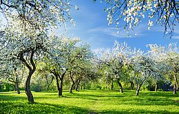 Umweltlotterie: Biodiversität hautnah: am Beispiel einer Streuobstwiese & Kostenlose Videos für Kinder und Erwachsene Umweltlotterie: Biodiversität hautnah: am Beispiel einer Streuobstwiese & Kostenlose Videos für Kinder und Erwachsene