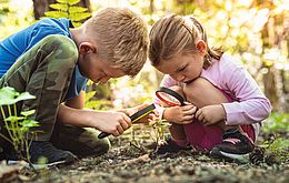 Umweltlotterie_Insekten entdecken – Vielfalt verstehen“ für Kita- und Schulkinder im Lahn-Dill-Kreis
