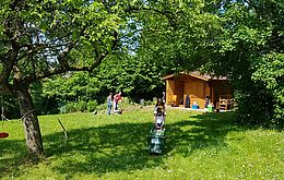 Umweltlotterie: Bibelgarten Upgrade - Beerenhecken erneuern und Steingarten erweitern