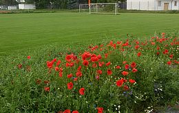 Umweltlotterie: SV Weiskirchen hat ein Herz für die Natur