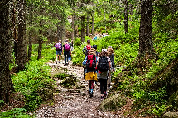 Umweltlotterie: Naturkundliches Lehr- und Ausstellungsmaterial für die Waldjugend in der neuen Hütte