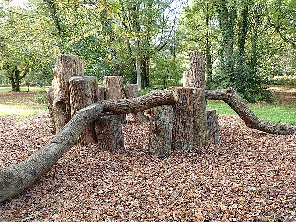 Umweltlotterie: WILDNIS für KINDER