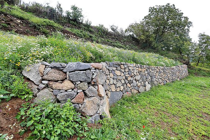Umweltlotterie GENAU: Lebendige Trockenmauer im Meerbachtal