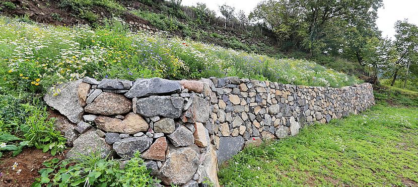 Umweltlotterie GENAU: Lebendige Trockenmauer im Meerbachtal