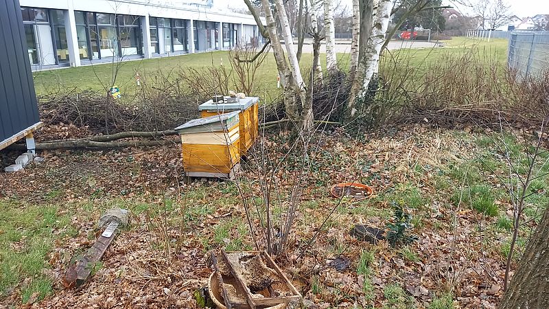 Umweltlotterie: Schulgartenerweiterung an der Heinrich-Böll-Schule in Rodgau Nieder-Roden