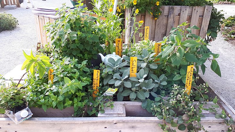 Umweltlotterie: GartenRheinMain Spezial! (G)Artenvielfalt