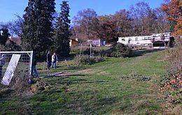 Umweltlotterie: Mehr Artenvielfalt für unseren Gemeindegarten - Anlegen von Wildstaudenbeet und Wildblumenwiese