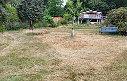 Umweltlotterie: Mehr Artenvielfalt für unseren Gemeindegarten - Anlegen von Wildstaudenbeet und Wildblumenwiese Umweltlotterie: Mehr Artenvielfalt für unseren Gemeindegarten - Anlegen von Wildstaudenbeet und Wildblumenwiese