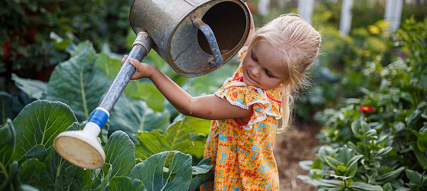 Umweltlotterie: Naturnahe Gestaltung Kita-Garten, Schaffung einer altersgerechten Infrastruktur Umweltlotterie: Naturnahe Gestaltung Kita-Garten, Schaffung einer altersgerechten Infrastruktur