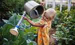 Umweltlotterie: Naturnahe Gestaltung Kita-Garten, Schaffung einer altersgerechten Infrastruktur Umweltlotterie: Naturnahe Gestaltung Kita-Garten, Schaffung einer altersgerechten Infrastruktur