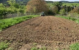 Umweltlotterie: Blühwiesen für Nieder-Liebersbach