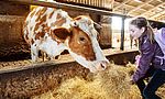 Umweltlotterie: Klassenzimmer im Grünen für die Schule im Emsbachtal - Lernen auf dem Bauernhof & Streuobstwiese