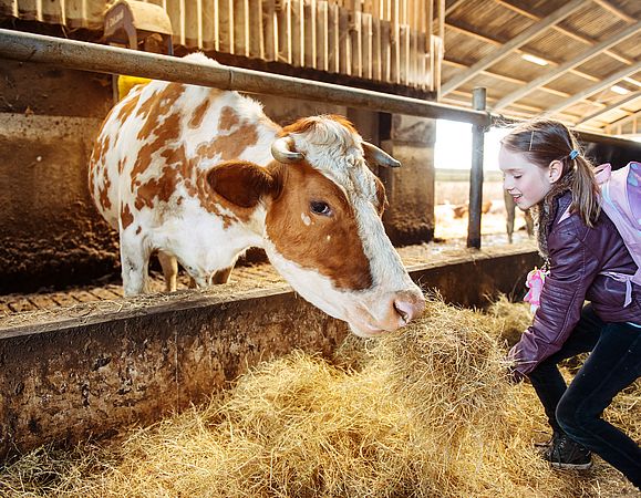 Umweltlotterie: Klassenzimmer im Grünen für die Schule im Emsbachtal - Lernen auf dem Bauernhof & Streuobstwiese