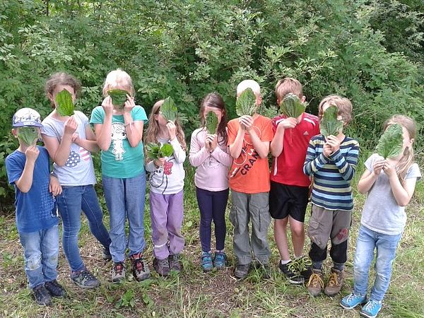 Umweltlotterie: Wilde Wald- und Wiesenzeit in Bad Nauheim