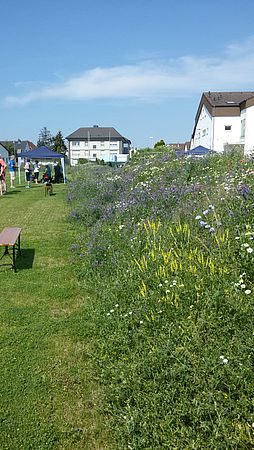 Umweltlotterie: Ein Herz für Natur und Sport