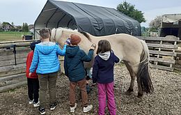 Umweltlotterie: Lehrpfad zum Thema Pferd und Natur