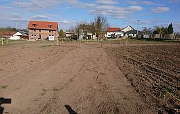 Umweltlotterie: Regionaler öffentlicher Kräutergarten