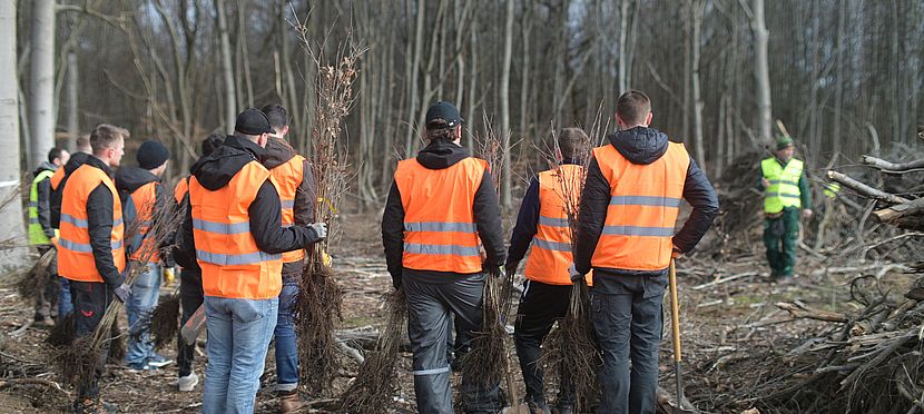 Umweltlotterie: Jeder Baum zählt!