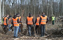 Umweltlotterie: Jeder Baum zählt! Umweltlotterie: Jeder Baum zählt!